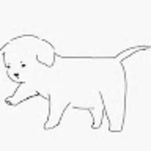 Meet your Posher, Ahyoung